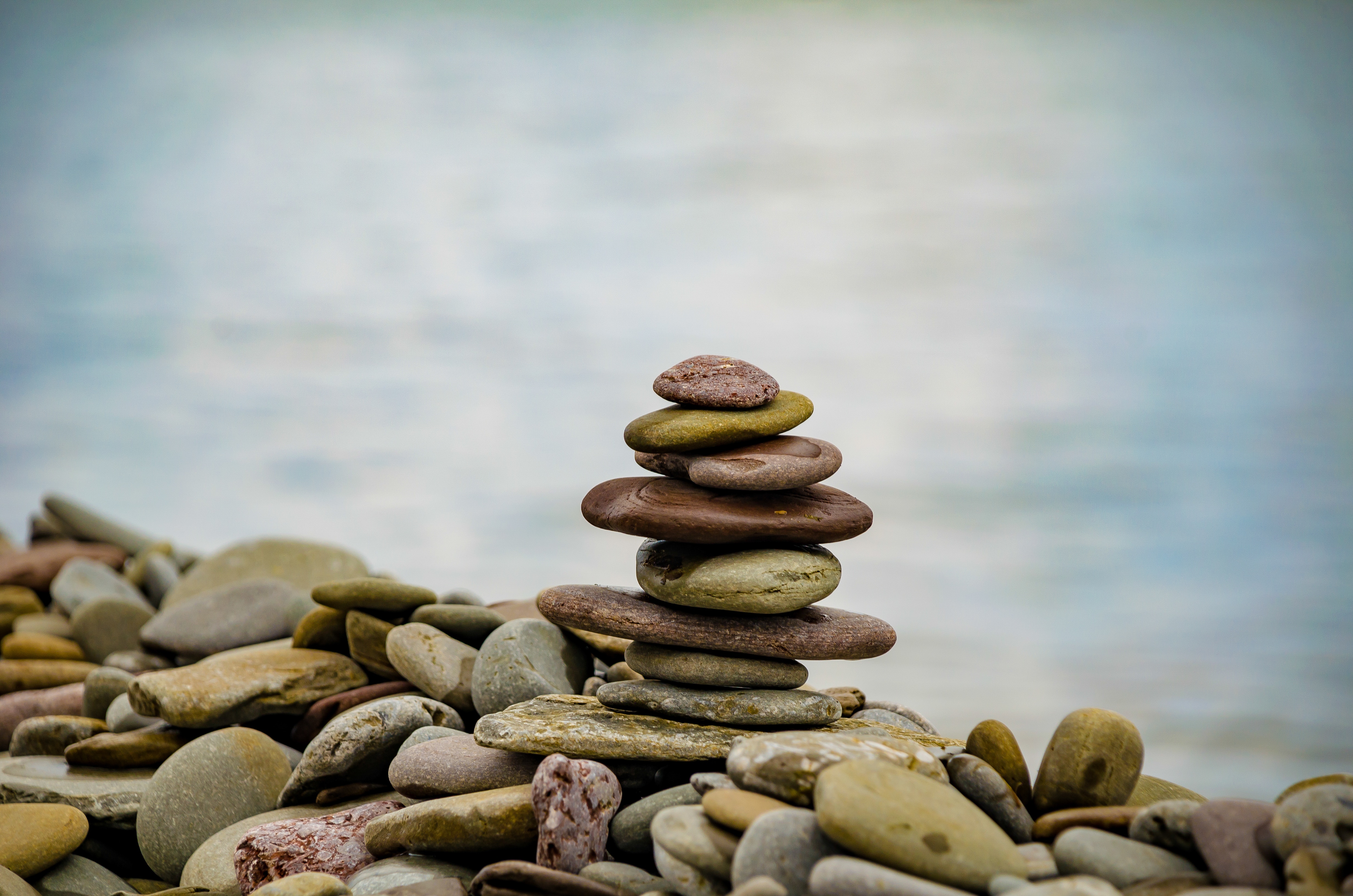 Our Student Mental Health and Wellness Approach
