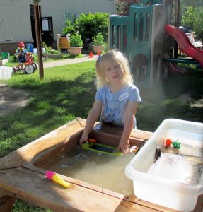 Learn More: Joy of Summer Nursery!
