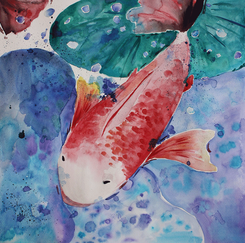Watercolor of coy fish