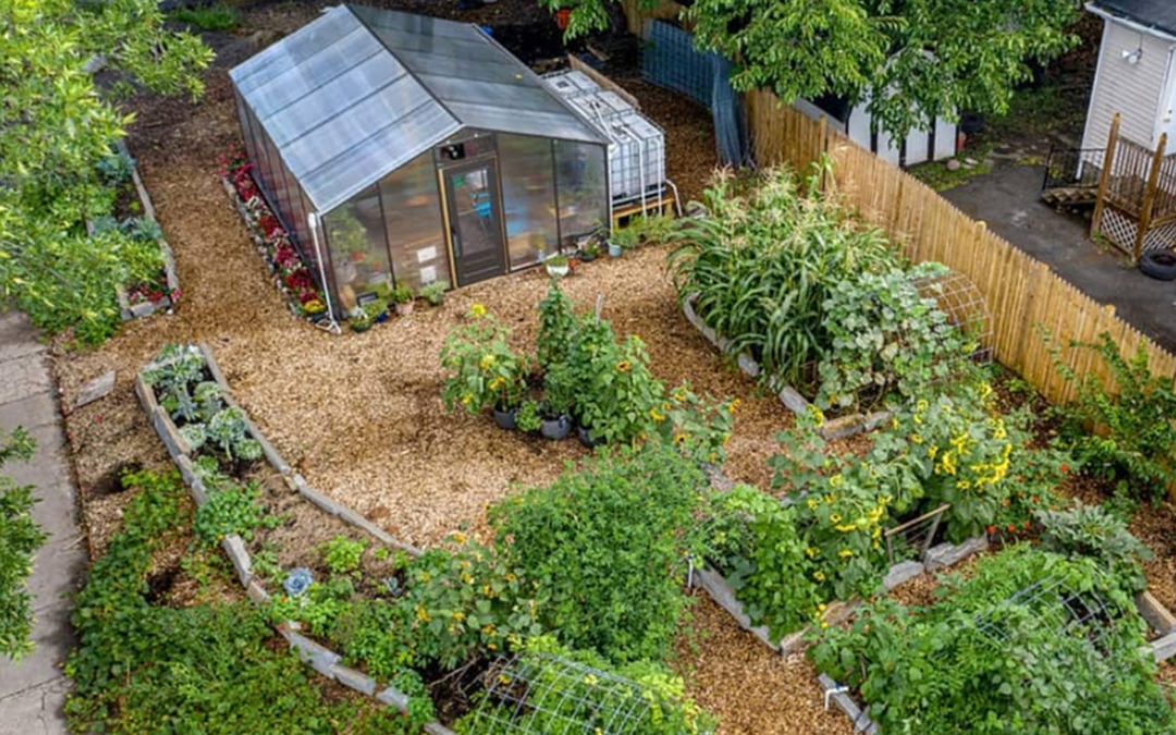 Food Justice Warrior, Locally-Grown