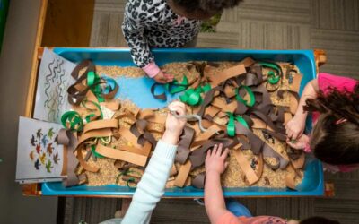 Harley Tradition: Lower School Focus Week