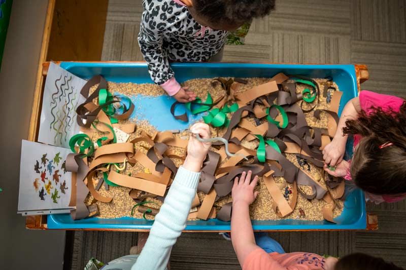Harley Tradition:  ﻿Lower School Focus Week